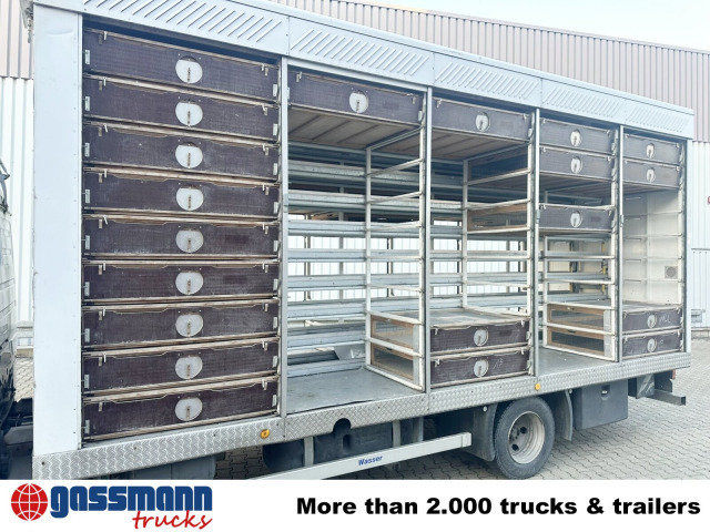 Mercedes-Benz LK 817 4x2, Taubentransporter - Camion furgon: Foto 4 Mercedes-Benz LK 817 4x2, Taubentransporter - Camion furgon: Foto 4