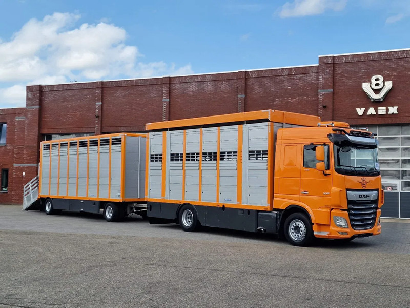 DAF XF 530 4x2 - Livestock Menke + 2018 Menke trailer 2 deck - Water + Ventilation - Lifting roof - Camion transport animale: Foto 1 DAF XF 530 4x2 - Livestock Menke + 2018 Menke trailer 2 deck - Water + Ventilation - Lifting roof - Camion transport animale: Foto 1