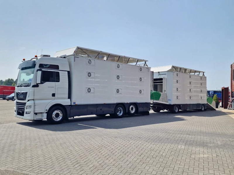 MAN TGX 500 6x2 - 3 deck Cuppers + 4 deck Cuppers 2019 trailer - Water & Ventilation - Night clima - - Camion transport animale: Foto 3 MAN TGX 500 6x2 - 3 deck Cuppers + 4 deck Cuppers 2019 trailer - Water & Ventilation - Night clima - - Camion transport animale: Foto 3