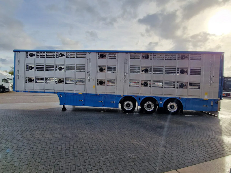 Pezzaioli New 3 stock livestock trailer 95.4M2 - Water & Ventilation - Lifting floors - Lifting roof - Lift axle - Semiremorcă transport animale: Foto 5 Pezzaioli New 3 stock livestock trailer 95.4M2 - Water & Ventilation - Lifting floors - Lifting roof - Lift axle - Semiremorcă transport animale: Foto 5