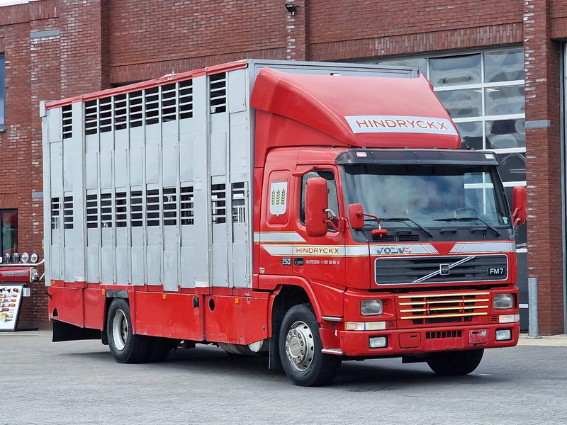 Volvo FM 250 4x- Livestock 2 deck - Lifting floors - Loadlift - Manual gearbox - Camion transport animale: Foto 1 Volvo FM 250 4x- Livestock 2 deck - Lifting floors - Loadlift - Manual gearbox - Camion transport animale: Foto 1