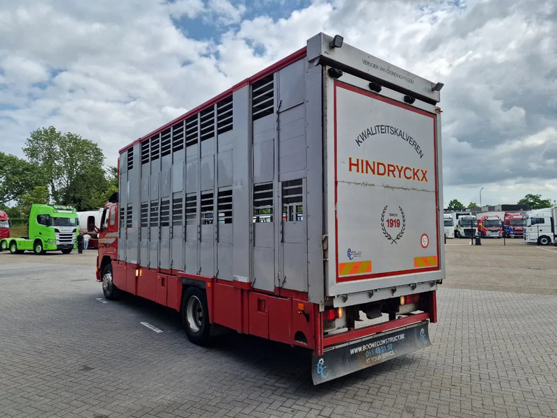 Volvo FM 250 4x- Livestock 2 deck - Lifting floors - Loadlift - Manual gearbox - Camion transport animale: Foto 5 Volvo FM 250 4x- Livestock 2 deck - Lifting floors - Loadlift - Manual gearbox - Camion transport animale: Foto 5