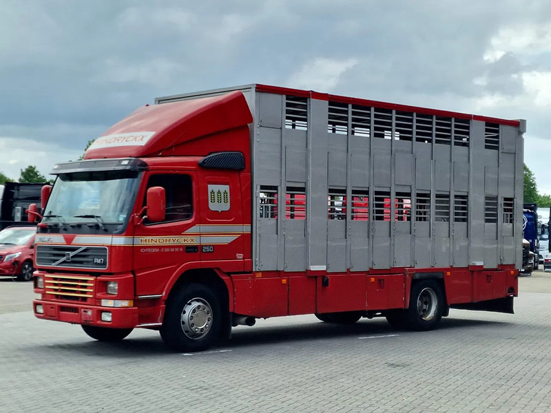 Volvo FM 250 4x- Livestock 2 deck - Lifting floors - Loadlift - Manual gearbox - Camion transport animale: Foto 3 Volvo FM 250 4x- Livestock 2 deck - Lifting floors - Loadlift - Manual gearbox - Camion transport animale: Foto 3
