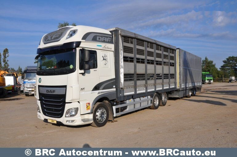DAF DAF XF XF - Camion cu prelată: Foto 1 DAF DAF XF XF - Camion cu prelată: Foto 1