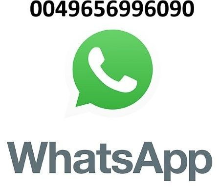 Faun Variopress II 528 V 19 Faun Variopress II 528 V 19 - Autogunoiere: Foto 3 Faun Variopress II 528 V 19 Faun Variopress II 528 V 19 - Autogunoiere: Foto 3