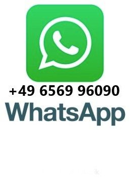 MAN TGS 18.360 4x4 Winterdienst Fahrgestell - Camion şasiu: Foto 2 MAN TGS 18.360 4x4 Winterdienst Fahrgestell - Camion şasiu: Foto 2