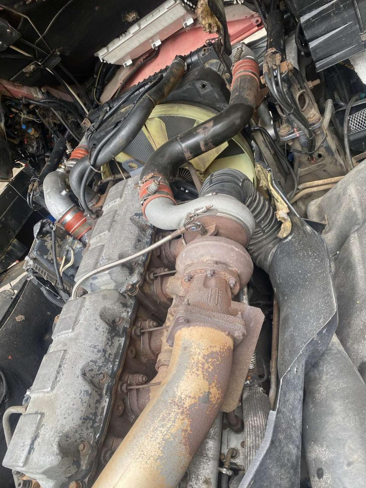 Cap tractor RENAULT Magnum 480: Foto 24 Cap tractor RENAULT Magnum 480: Foto 24