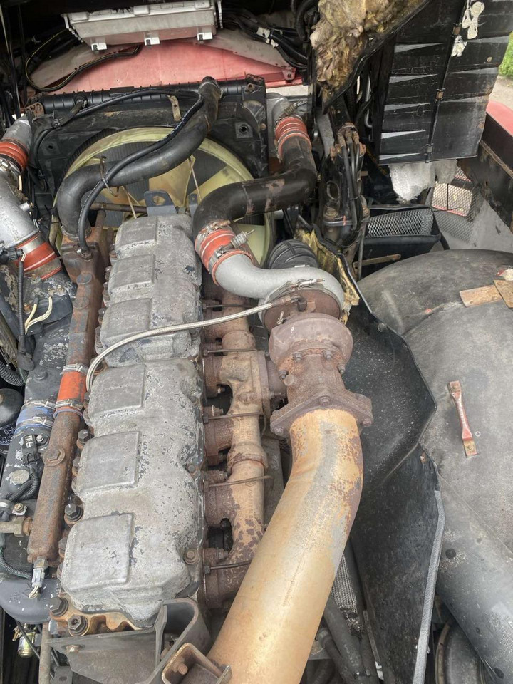 Cap tractor RENAULT Magnum 480: Foto 14 Cap tractor RENAULT Magnum 480: Foto 14