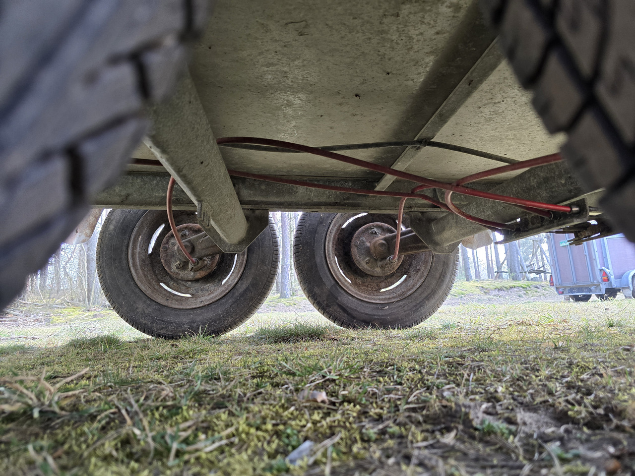 PONGRATZ PA 310 T - Remorcă transport animale: Foto 4 PONGRATZ PA 310 T - Remorcă transport animale: Foto 4