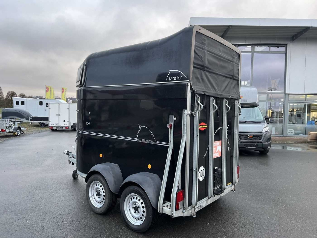 BOECKMANN Master S - WCF ALB Pferdeanhänger - Remorcă transport cai: Foto 4 BOECKMANN Master S - WCF ALB Pferdeanhänger - Remorcă transport cai: Foto 4