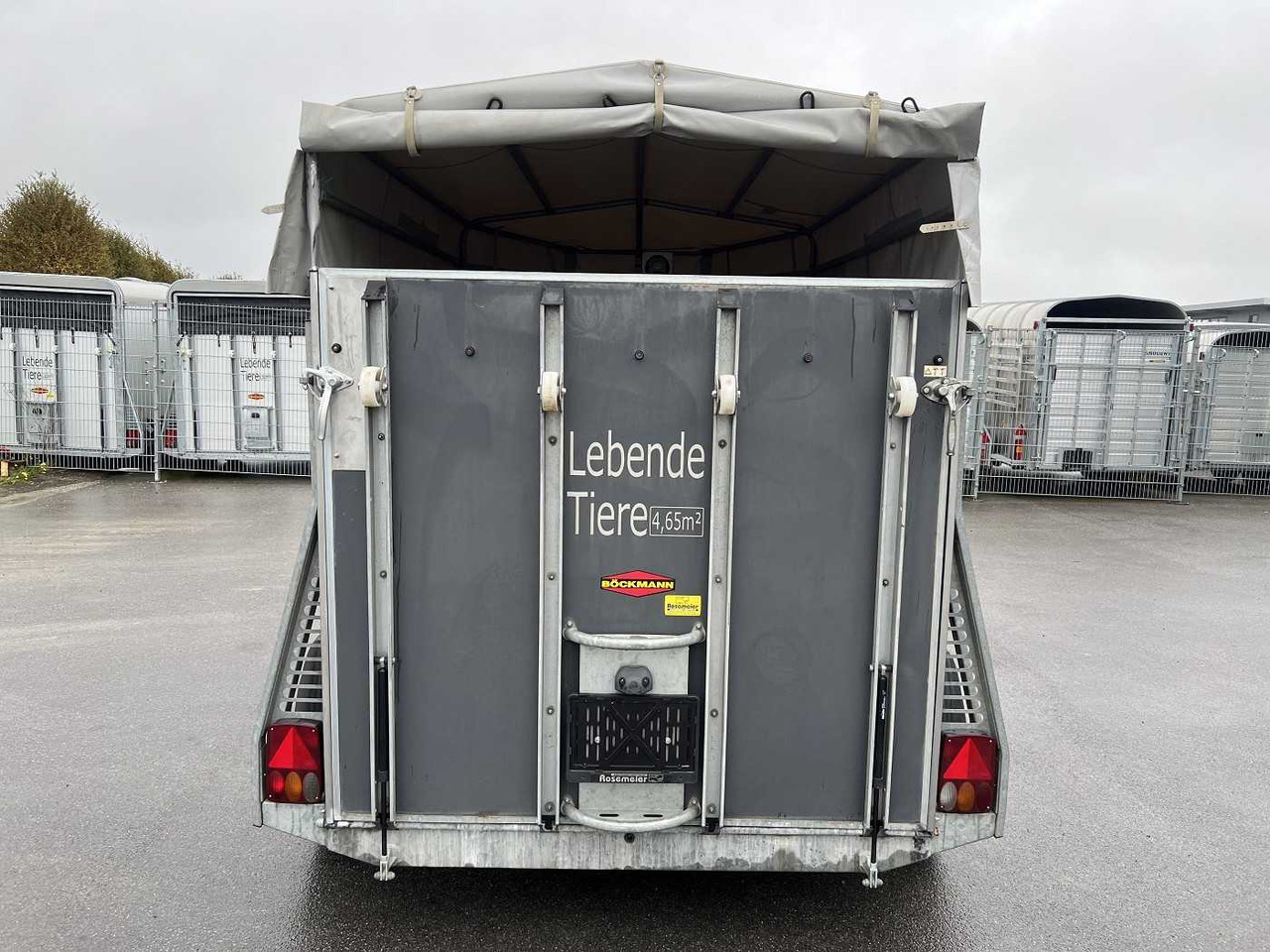 BOECKMANN VH 3016/24 Viehanhänger - Remorcă transport animale: Foto 4 BOECKMANN VH 3016/24 Viehanhänger - Remorcă transport animale: Foto 4