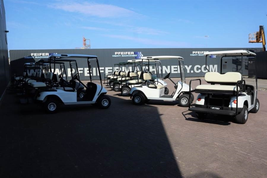 BRINGO DG-C2 Valid Inspection, *Guarantee! Dutch R - Mașină de golf: Foto 2 BRINGO DG-C2 Valid Inspection, *Guarantee! Dutch R - Mașină de golf: Foto 2