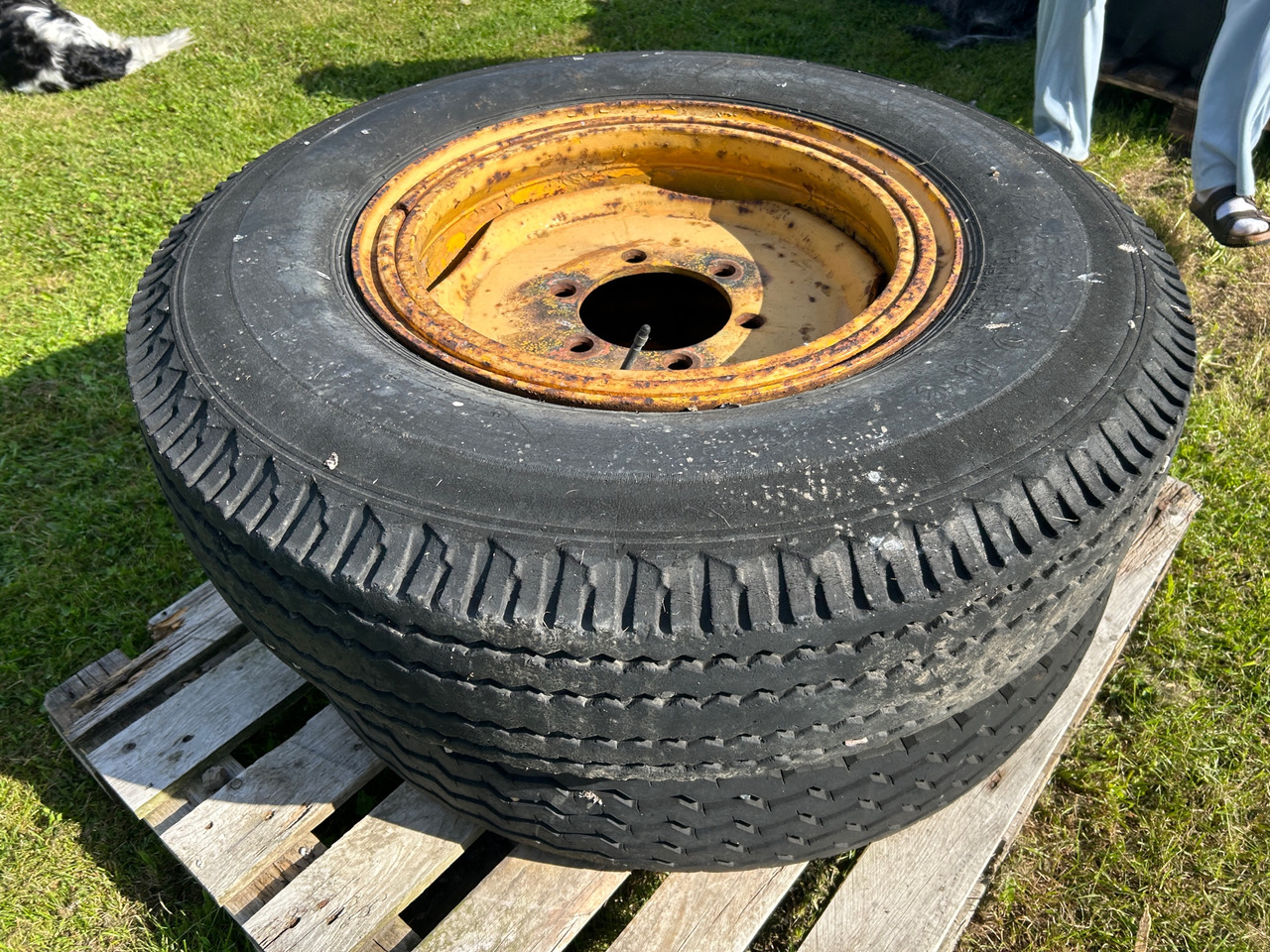 Firestone 9.00-20 - Anvelopă pentru Utilaje agricole: Foto 1 Firestone 9.00-20 - Anvelopă pentru Utilaje agricole: Foto 1