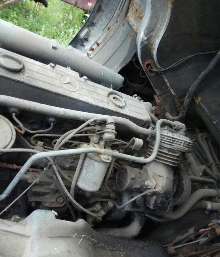 Mercedes-Benz OM366 170 E2   Mercedes-Benz - Motor pentru Camion: Foto 1 Mercedes-Benz OM366 170 E2   Mercedes-Benz - Motor pentru Camion: Foto 1