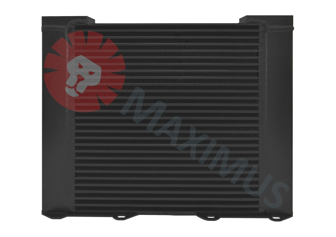 DEUTZ SILNIK BF 6M1012 - Radiator pentru Utilaje constructii: Foto 1 DEUTZ SILNIK BF 6M1012 - Radiator pentru Utilaje constructii: Foto 1