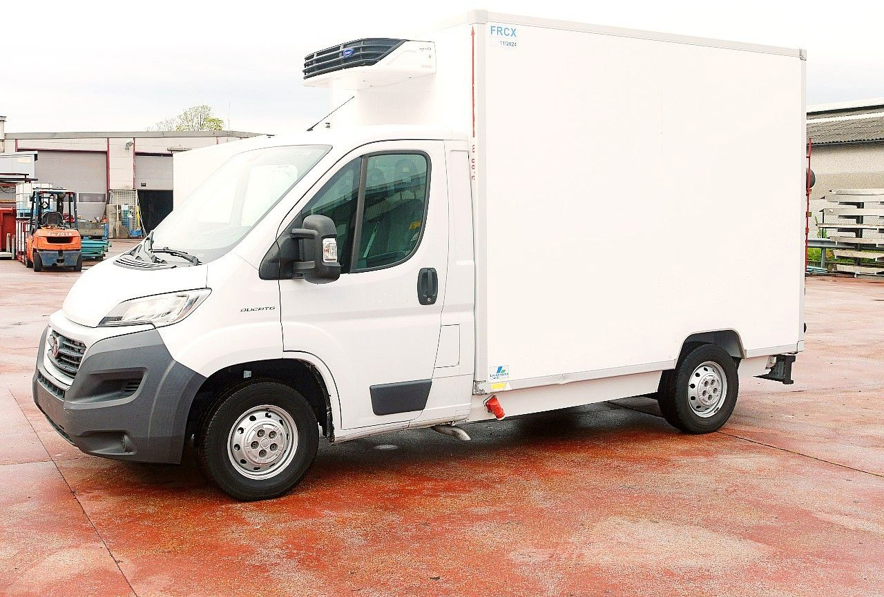 Fiat DUCATO 2.3 KUHLKOFFER FLEISH HAKEN CARRIER -20C - Autoutilitară frigorifica: Foto 4 Fiat DUCATO 2.3 KUHLKOFFER FLEISH HAKEN CARRIER -20C - Autoutilitară frigorifica: Foto 4