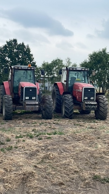 Massey ferguson 8110-8160 części skrzynia biegów zwolnica - Cutie de viteze pentru Utilaje agricole: Foto 1 Massey ferguson 8110-8160 części skrzynia biegów zwolnica - Cutie de viteze pentru Utilaje agricole: Foto 1