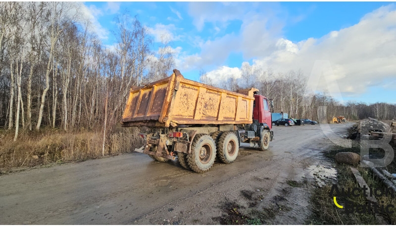 Maz 551669 - Camion basculantă: Foto 4 Maz 551669 - Camion basculantă: Foto 4