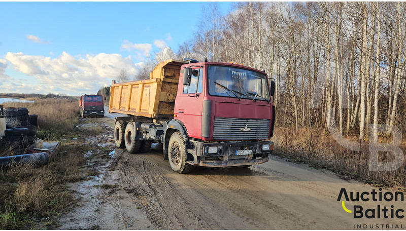 Maz 551669 - Camion basculantă: Foto 2 Maz 551669 - Camion basculantă: Foto 2