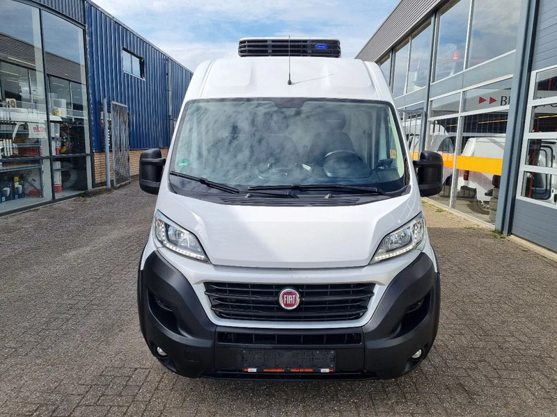 Fiat Ducato Maxi 2.3 JTD Koelwagen Multitemp Xarios 350MT ST 230V (2) - Autoutilitară frigorifica: Foto 3 Fiat Ducato Maxi 2.3 JTD Koelwagen Multitemp Xarios 350MT ST 230V (2) - Autoutilitară frigorifica: Foto 3
