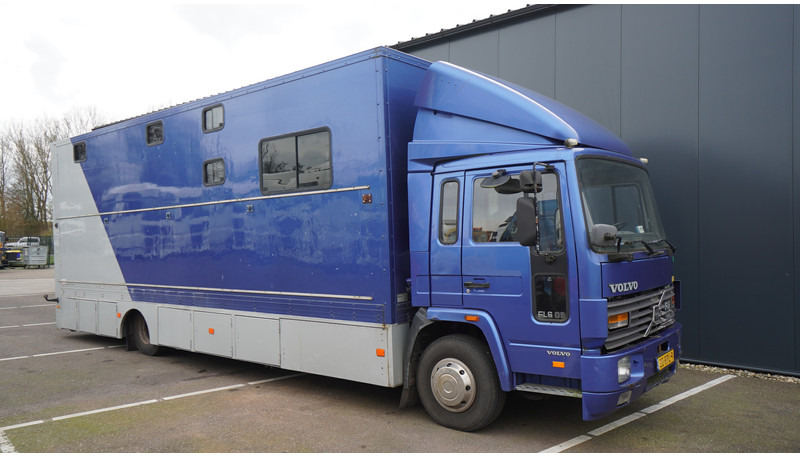 Volvo FL 6-9 HORSE TRANSPORT 341.000KM MANUAL GEARBOX - Camion transport cai: Foto 4 Volvo FL 6-9 HORSE TRANSPORT 341.000KM MANUAL GEARBOX - Camion transport cai: Foto 4