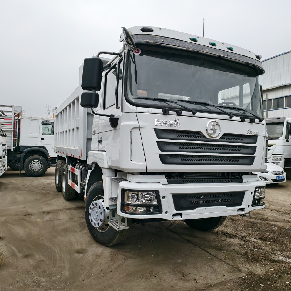 SHACMAN F3000 6*4 8*4 - Camion basculantă: Foto 1 SHACMAN F3000 6*4 8*4 - Camion basculantă: Foto 1