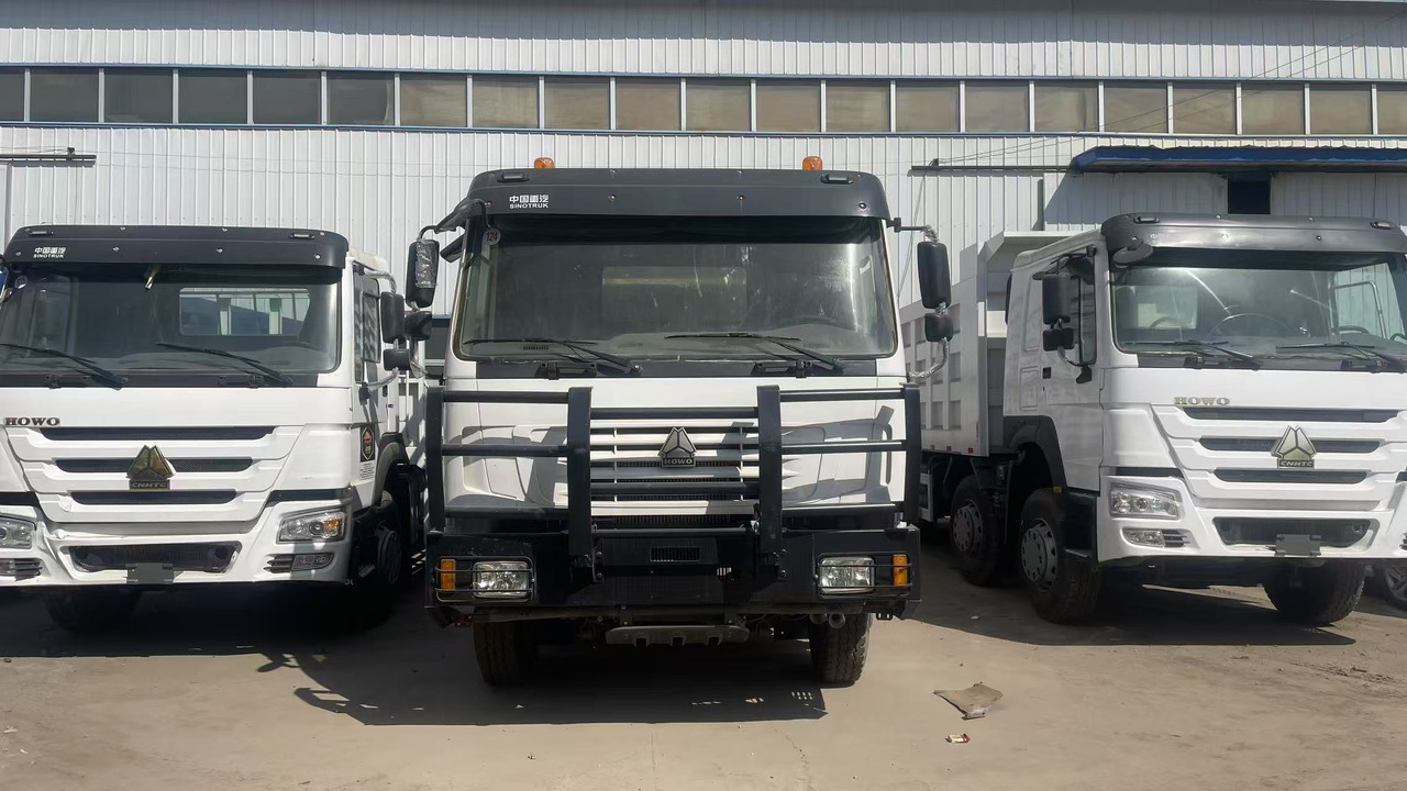SINOTRUK HOWO 8*4 WITH FENCE DUMP TRUCK LIVESTOCK TRUCK - Camion basculantă: Foto 2 SINOTRUK HOWO 8*4 WITH FENCE DUMP TRUCK LIVESTOCK TRUCK - Camion basculantă: Foto 2
