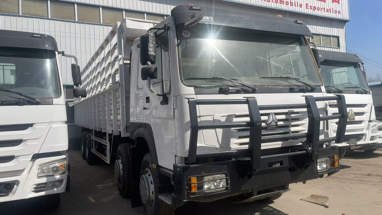 SINOTRUK HOWO 8*4 WITH FENCE DUMP TRUCK LIVESTOCK TRUCK - Camion basculantă: Foto 4 SINOTRUK HOWO 8*4 WITH FENCE DUMP TRUCK LIVESTOCK TRUCK - Camion basculantă: Foto 4