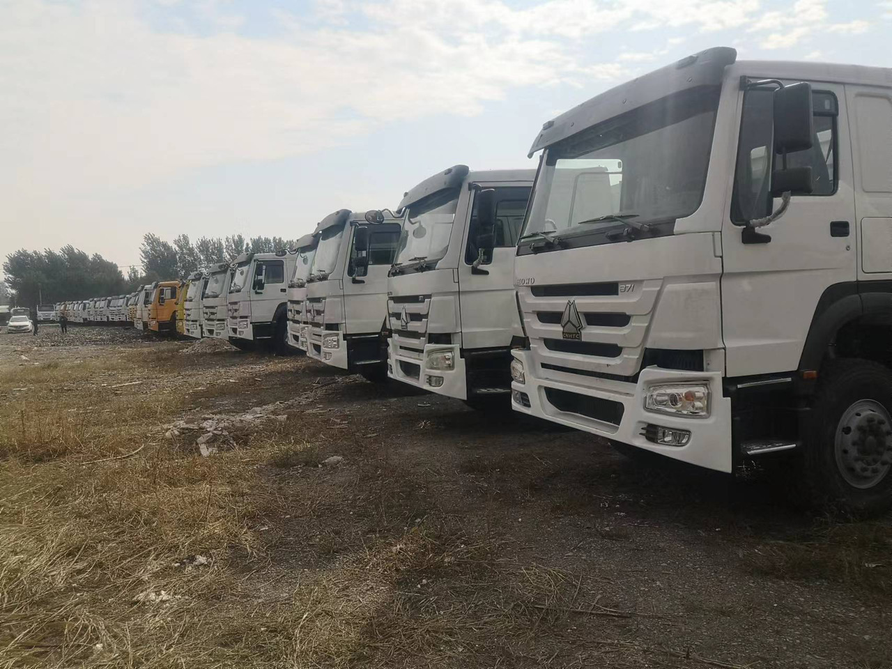 SINOTRUK HOWO WITH FENCE LIVESTOCK DUMP TRUCK - Camion basculantă: Foto 1 SINOTRUK HOWO WITH FENCE LIVESTOCK DUMP TRUCK - Camion basculantă: Foto 1