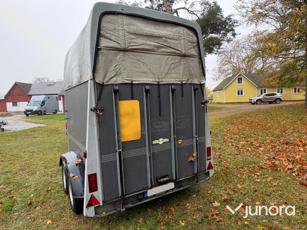 Hästtransport - Humbaur, Rapid - Remorcă transport cai: Foto 4 Hästtransport - Humbaur, Rapid - Remorcă transport cai: Foto 4