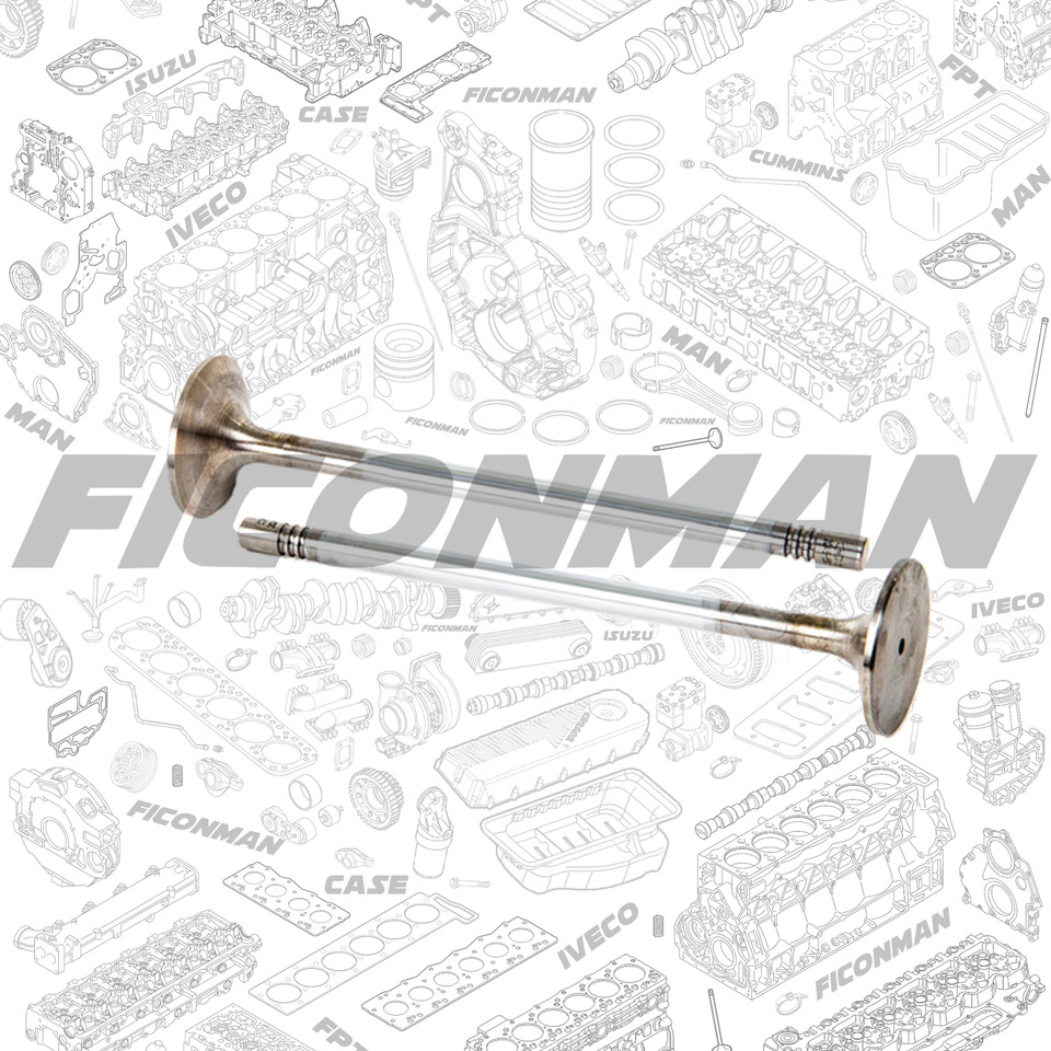 Ford Ford Trucks F-MAX ECOTORQ 9L Intake Valve 2C466507-CA ,T162806, 2C466507CA - Supapă pentru Camion: Foto 1 Ford Ford Trucks F-MAX ECOTORQ 9L Intake Valve 2C466507-CA ,T162806, 2C466507CA - Supapă pentru Camion: Foto 1