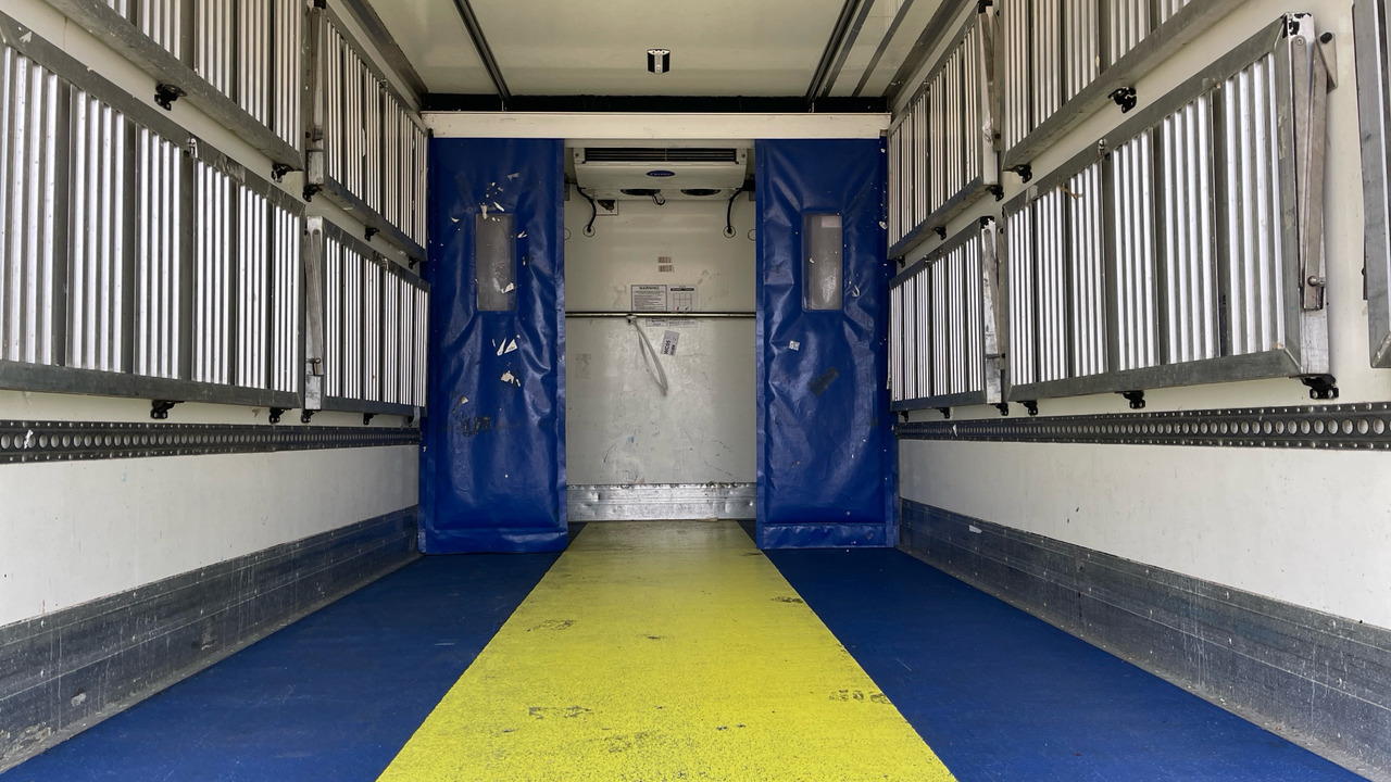 Camion frigider ISUZU F135 240: Foto 14