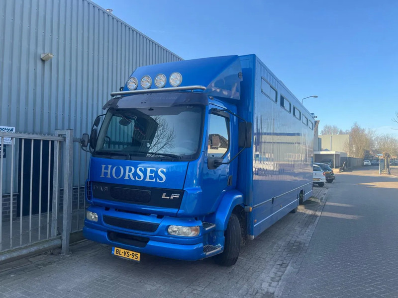 DAF LF 180 PAARDENWAGEN.. 6 cilinder,manual gearbox - Camion transport cai: Foto 1 DAF LF 180 PAARDENWAGEN.. 6 cilinder,manual gearbox - Camion transport cai: Foto 1