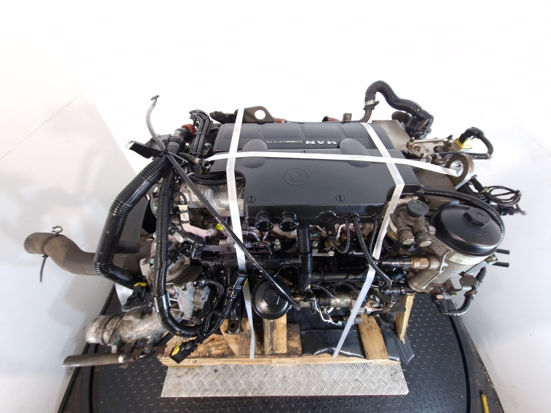 Motor pentru Camion MAN D0834 LFL67 Engine (Truck): Foto 10 Motor pentru Camion MAN D0834 LFL67 Engine (Truck): Foto 10