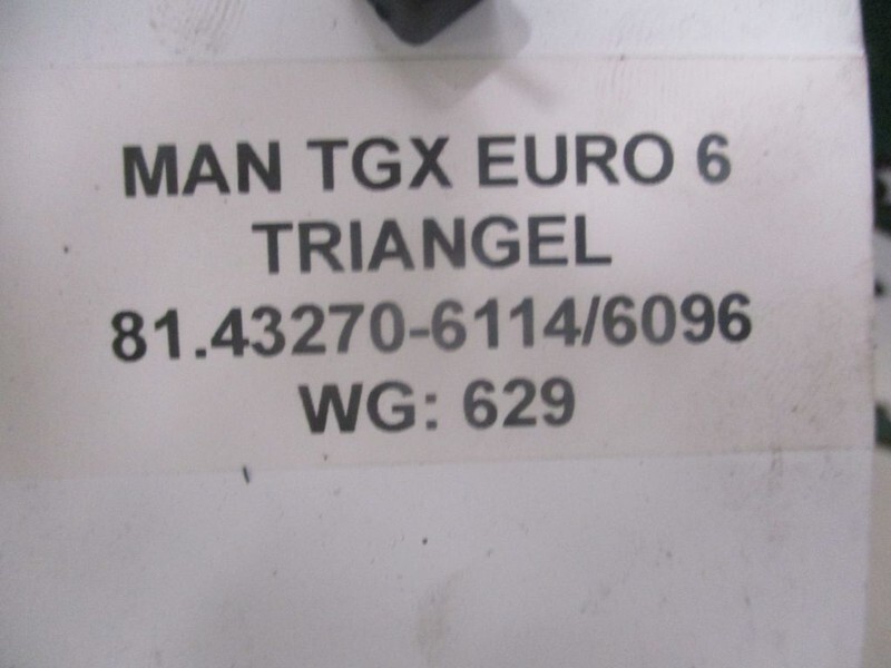 MAN TGX 81.43270-6114/6096 TRIANGEL EURO 6 - Tendon V pentru Camion: Foto 2 MAN TGX 81.43270-6114/6096 TRIANGEL EURO 6 - Tendon V pentru Camion: Foto 2