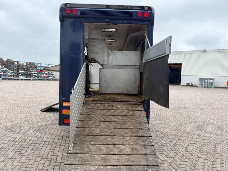 Mercedes-Benz Atego 1223 / ENGINE RUNNING / ONLY:159450 KM / HORSETRUCK / HEATED BOX / WATERTANK / LIVING ROOM / EURO-2 / MANUAL / 1998 - Camion transport cai: Foto 5 Mercedes-Benz Atego 1223 / ENGINE RUNNING / ONLY:159450 KM / HORSETRUCK / HEATED BOX / WATERTANK / LIVING ROOM / EURO-2 / MANUAL / 1998 - Camion transport cai: Foto 5