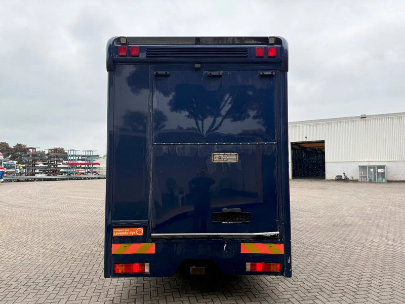 Mercedes-Benz Atego 1223 / ENGINE RUNNING / ONLY:159450 KM / HORSETRUCK / HEATED BOX / WATERTANK / LIVING ROOM / EURO-2 / MANUAL / 1998 - Camion transport cai: Foto 4 Mercedes-Benz Atego 1223 / ENGINE RUNNING / ONLY:159450 KM / HORSETRUCK / HEATED BOX / WATERTANK / LIVING ROOM / EURO-2 / MANUAL / 1998 - Camion transport cai: Foto 4