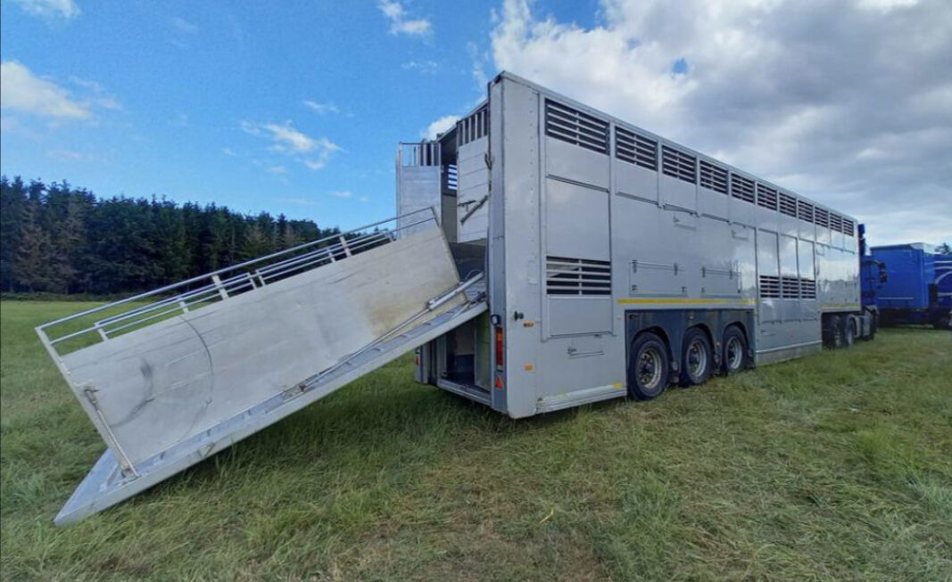 Gray and Adams Gadd3 / Works Great / Hydraulic / 2 Levels - Semiremorcă transport animale: Foto 3 Gray and Adams Gadd3 / Works Great / Hydraulic / 2 Levels - Semiremorcă transport animale: Foto 3