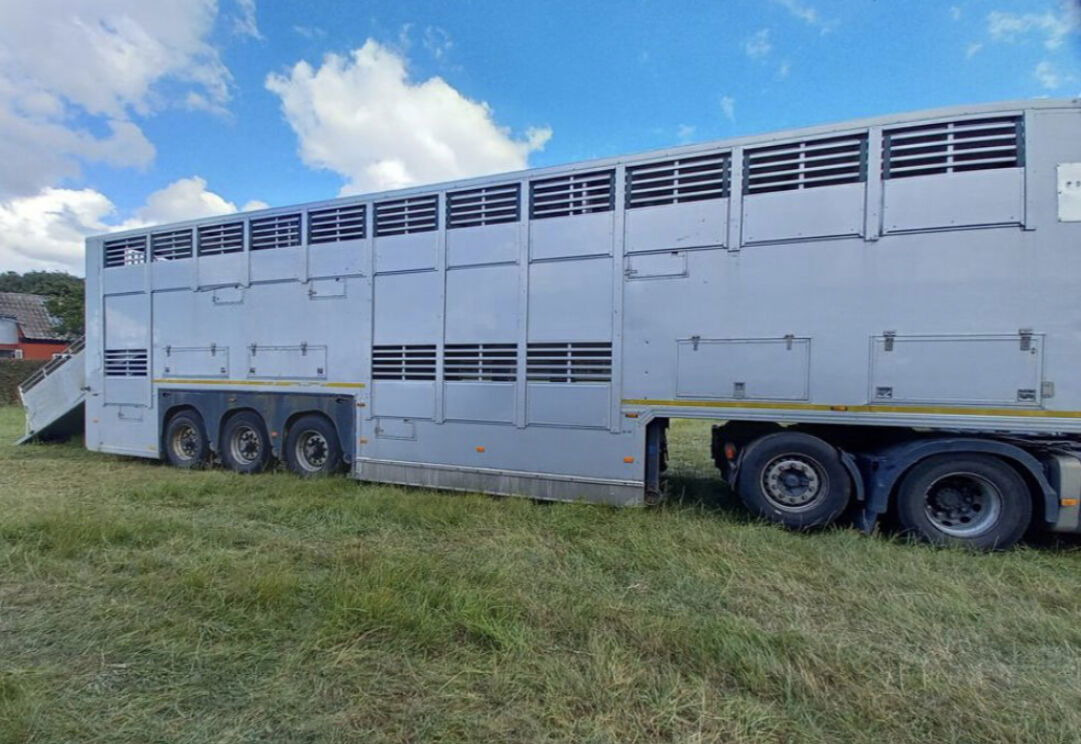 Gray and Adams Gadd3 / Works Great / Hydraulic / 2 Levels - Semiremorcă transport animale: Foto 2 Gray and Adams Gadd3 / Works Great / Hydraulic / 2 Levels - Semiremorcă transport animale: Foto 2