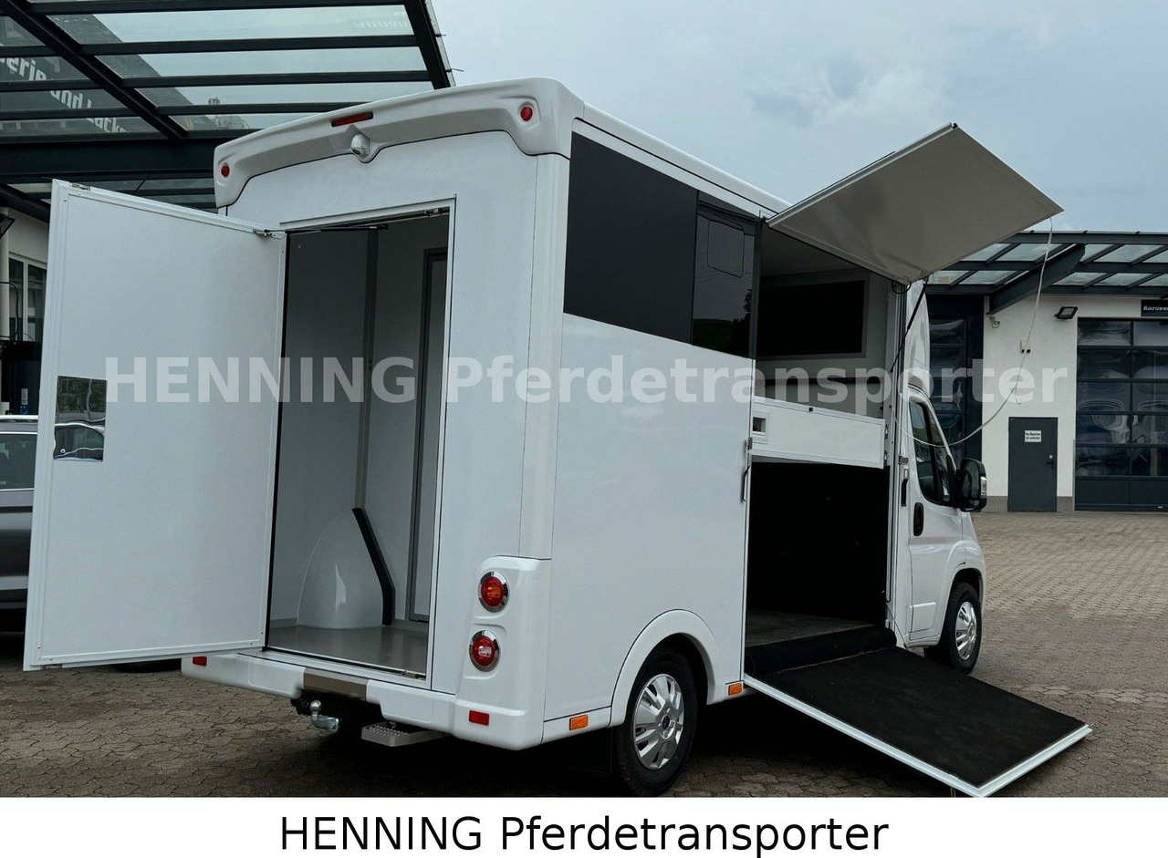 Peugeot Boxer *NEUWAGEN* ca. 1.200kg Nutzlast - Camion transport animale: Foto 4 Peugeot Boxer *NEUWAGEN* ca. 1.200kg Nutzlast - Camion transport animale: Foto 4