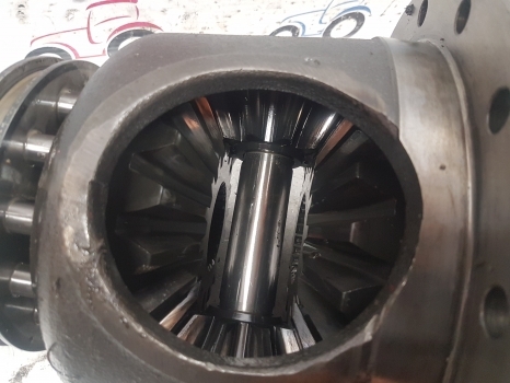 Lamborghini 1106 Same Laser 110 Rear Differential 26935100, 0.269.3510.0 - Diferențial pentru Tractor agricol: Foto 5 Lamborghini 1106 Same Laser 110 Rear Differential 26935100, 0.269.3510.0 - Diferențial pentru Tractor agricol: Foto 5