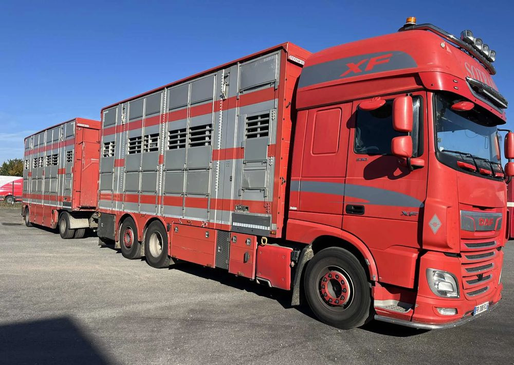 DAF XF 530 + Przyczepa Pezzaoli - 3X Trzoda, 2 X Bydło I 3 poziomy I Podnoszony dach I Hydroburta I Osie Skrętne I Poidła I Wentylatory I Pilot Manualny | - Alte utilaje: Foto 2 DAF XF 530 + Przyczepa Pezzaoli - 3X Trzoda, 2 X Bydło I 3 poziomy I Podnoszony dach I Hydroburta I Osie Skrętne I Poidła I Wentylatory I Pilot Manualny | - Alte utilaje: Foto 2