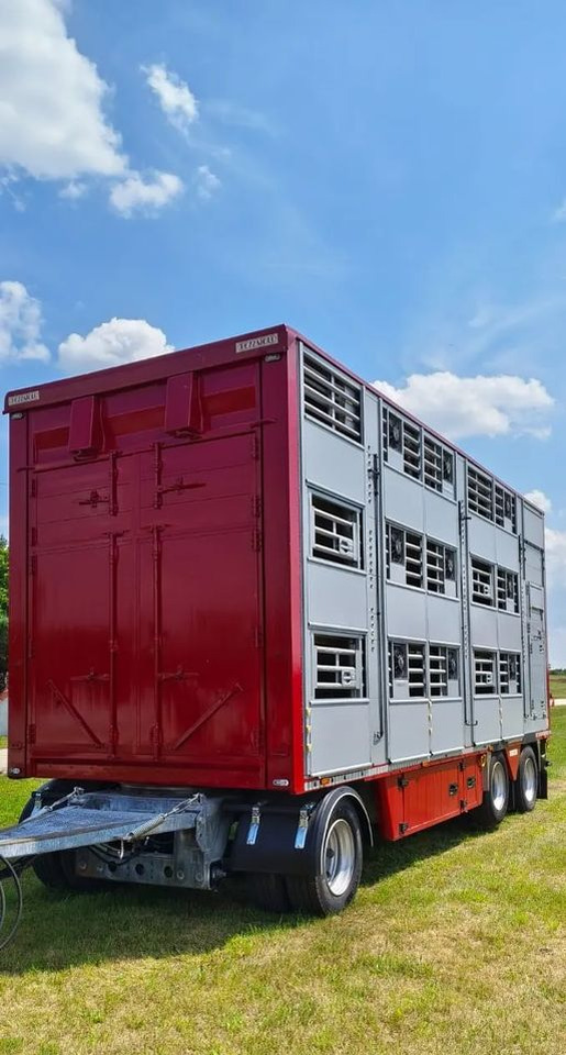 Pezzaioli RBA 32/TRZYOSIOWA PRZYCZEPA-2XBYDŁO,3X TRZODA/HYDRAULICZNIE PODNOSZONY DACH I PODŁOGI / OŚ ŚRODKOWA PODNOSZONA - Remorcă transport animale: Foto 4 Pezzaioli RBA 32/TRZYOSIOWA PRZYCZEPA-2XBYDŁO,3X TRZODA/HYDRAULICZNIE PODNOSZONY DACH I PODŁOGI / OŚ ŚRODKOWA PODNOSZONA - Remorcă transport animale: Foto 4