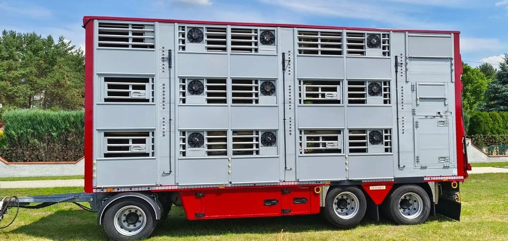 Pezzaioli RBA 32/TRZYOSIOWA PRZYCZEPA-2XBYDŁO,3X TRZODA/HYDRAULICZNIE PODNOSZONY DACH I PODŁOGI / OŚ ŚRODKOWA PODNOSZONA - Remorcă transport animale: Foto 3 Pezzaioli RBA 32/TRZYOSIOWA PRZYCZEPA-2XBYDŁO,3X TRZODA/HYDRAULICZNIE PODNOSZONY DACH I PODŁOGI / OŚ ŚRODKOWA PODNOSZONA - Remorcă transport animale: Foto 3