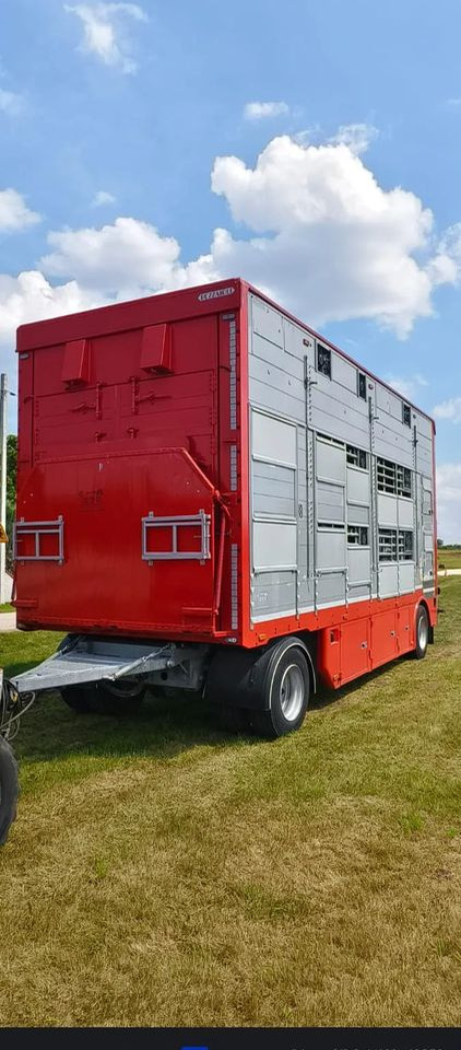 Pezzaioli RBA22 Dwuosiowa Przyczepa – 2x Bydło, 3x Trzoda – 2016r – Bezwypadkowa! - Remorcă transport animale: Foto 4 Pezzaioli RBA22 Dwuosiowa Przyczepa – 2x Bydło, 3x Trzoda – 2016r – Bezwypadkowa! - Remorcă transport animale: Foto 4
