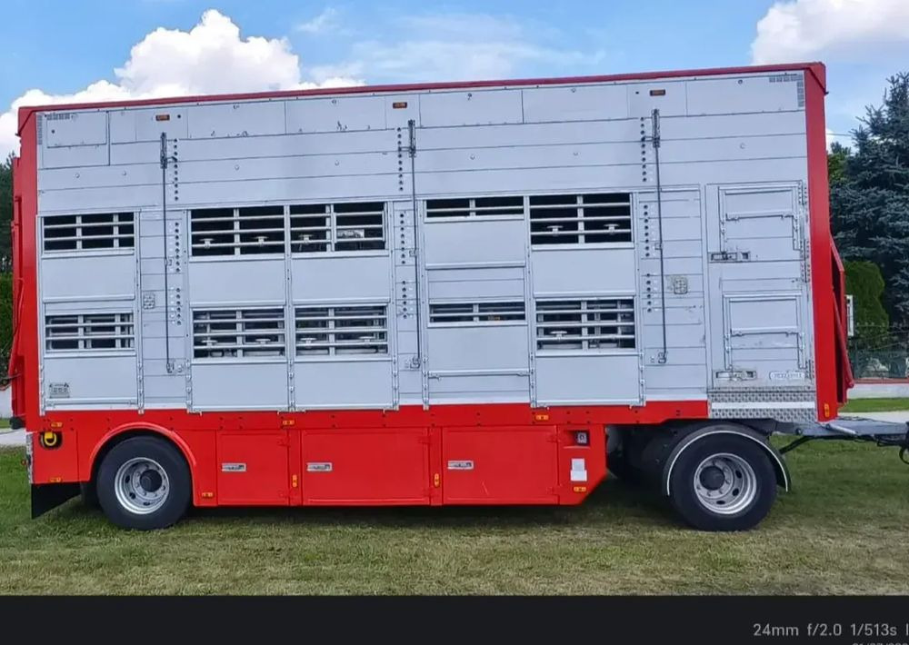 Remorcă transport animale Pezzaioli RBA22 Dwuosiowa Przyczepa – 2x Bydło, 3x Trzoda – 2017r – Bezwypadkowa!: Foto 1