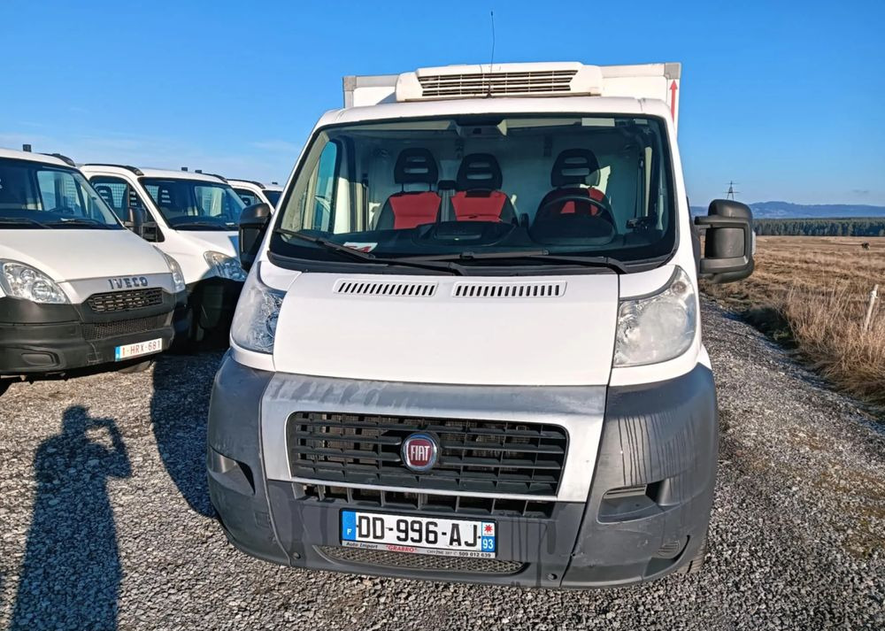 Fiat DUCATO - Autoutilitară frigorifica: Foto 3 Fiat DUCATO - Autoutilitară frigorifica: Foto 3