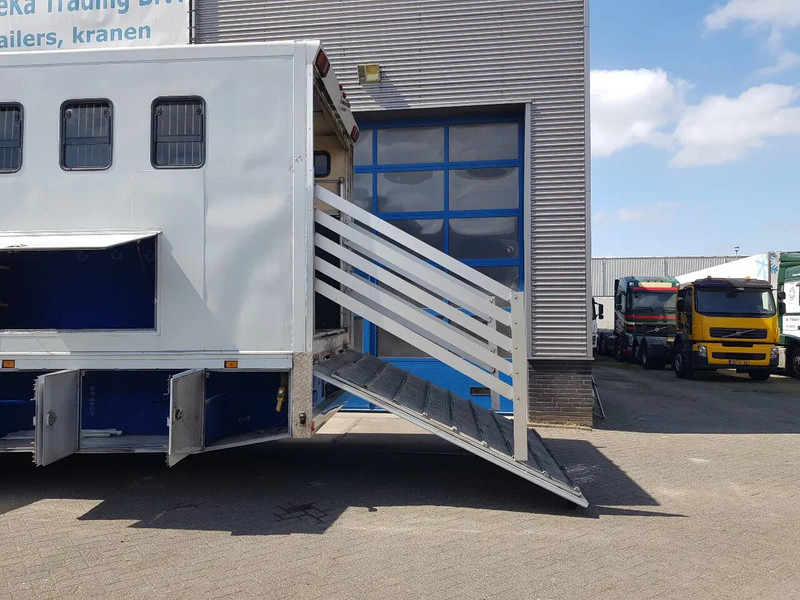 DAF 95.350 Paardenwagen met zitverblijf 7 paarden 7 horses - Camion transport cai: Foto 5 DAF 95.350 Paardenwagen met zitverblijf 7 paarden 7 horses - Camion transport cai: Foto 5