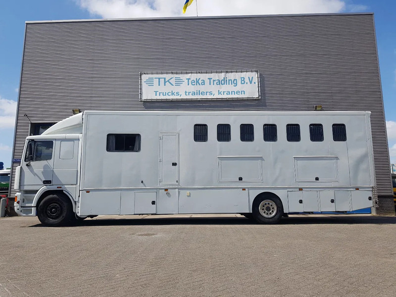 DAF 95.350 Paardenwagen met zitverblijf 7 paarden 7 horses - Camion transport cai: Foto 3 DAF 95.350 Paardenwagen met zitverblijf 7 paarden 7 horses - Camion transport cai: Foto 3