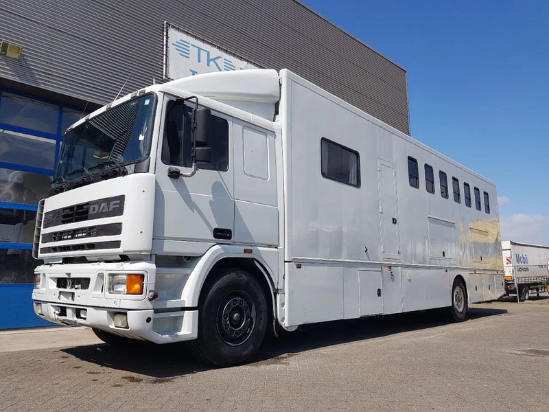 DAF 95.350 Paardenwagen met zitverblijf 7 paarden 7 horses - Camion transport cai: Foto 1 DAF 95.350 Paardenwagen met zitverblijf 7 paarden 7 horses - Camion transport cai: Foto 1